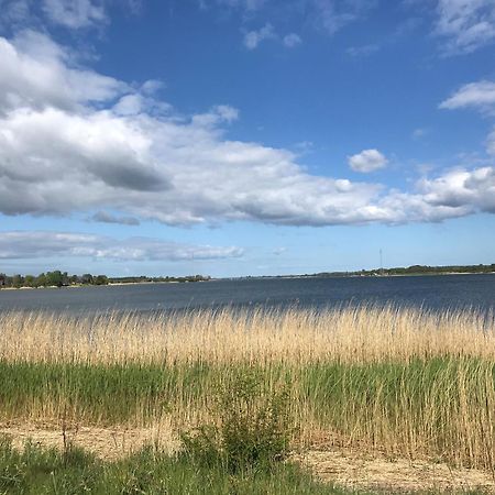 Strandgut Wackerballig Gelting Zewnętrze zdjęcie
