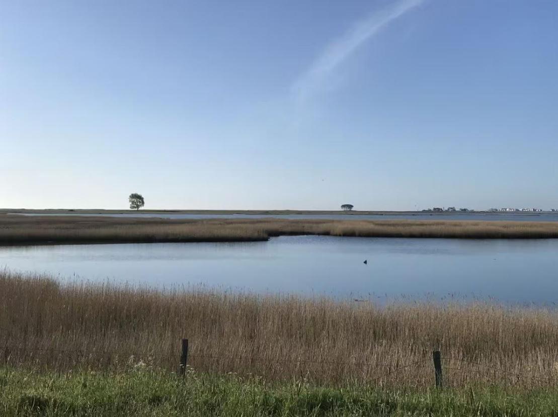 Strandgut Wackerballig Gelting Zewnętrze zdjęcie