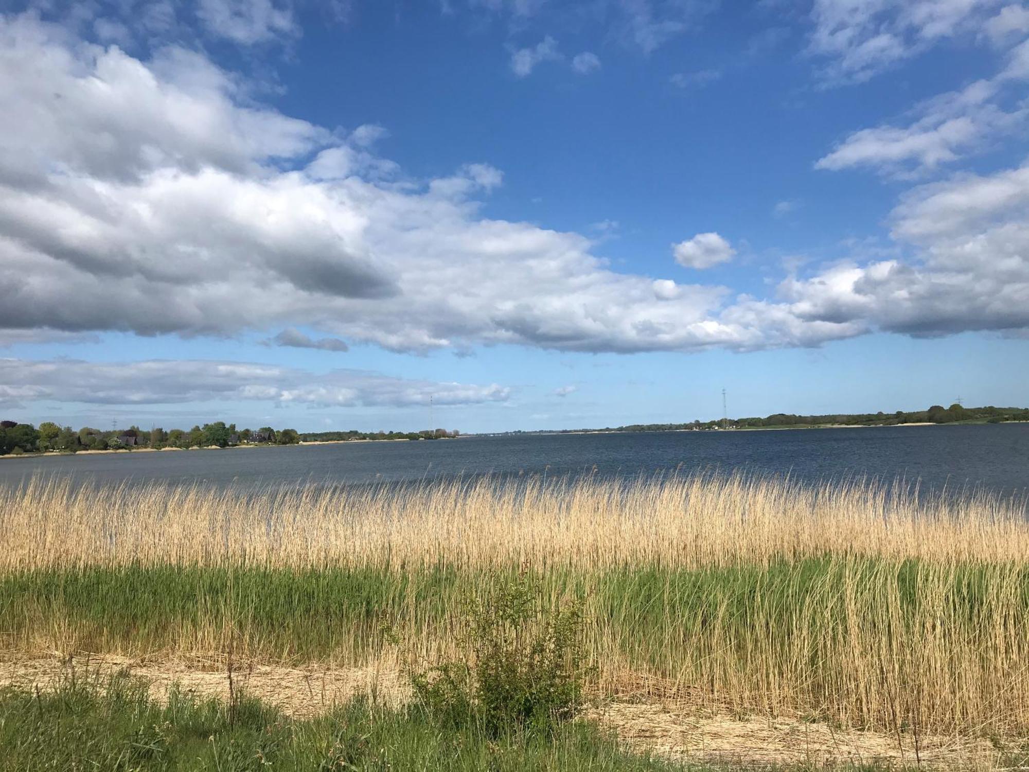 Strandgut Wackerballig Gelting Zewnętrze zdjęcie
